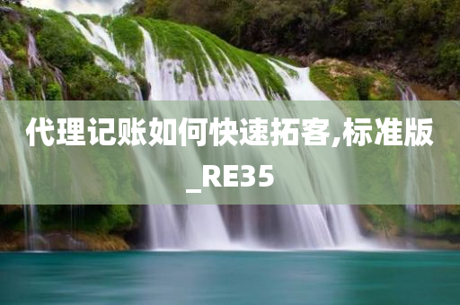 代理记账如何快速拓客,标准版_RE35