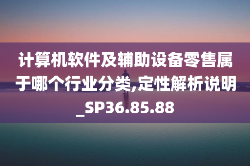 计算机软件及辅助设备零售属于哪个行业分类,定性解析说明_SP36.85.88