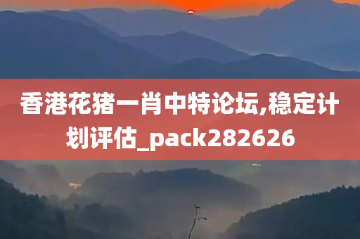 香港花猪一肖中特论坛,稳定计划评估_pack282626