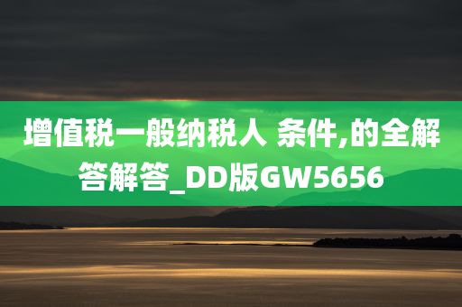 增值税一般纳税人 条件,的全解答解答_DD版GW5656