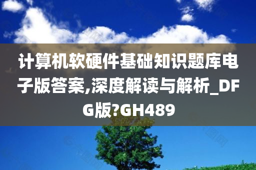 计算机软硬件基础知识题库电子版答案,深度解读与解析_DFG版?GH489