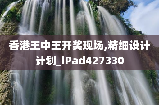 香港王中王开奖现场,精细设计计划_iPad427330