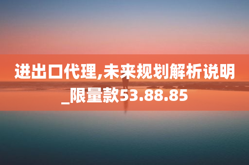 进出口代理,未来规划解析说明_限量款53.88.85