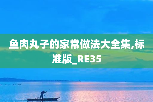 鱼肉丸子的家常做法大全集,标准版_RE35