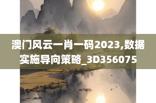 澳门风云一肖一码2023,数据实施导向策略_3D356075