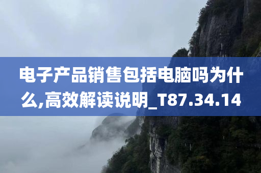 电子产品销售包括电脑吗为什么,高效解读说明_T87.34.14