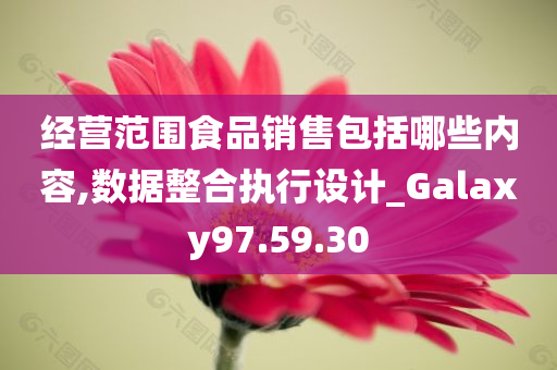 经营范围食品销售包括哪些内容,数据整合执行设计_Galaxy97.59.30