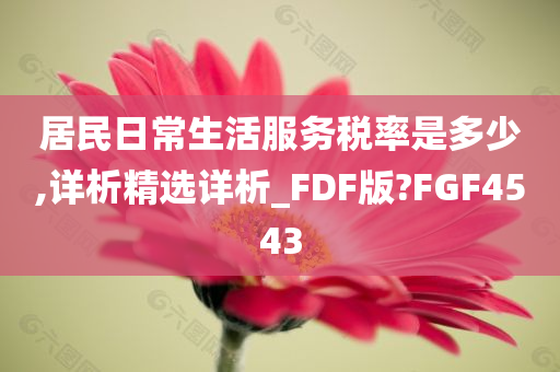 居民日常生活服务税率是多少,详析精选详析_FDF版?FGF4543