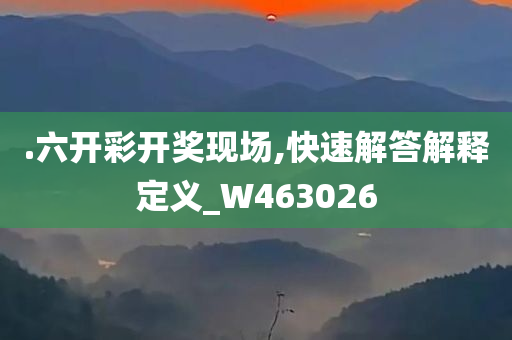 .六开彩开奖现场,快速解答解释定义_W463026