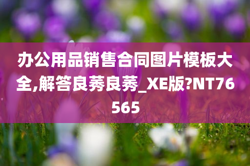 办公用品销售合同图片模板大全,解答良莠良莠_XE版?NT76565