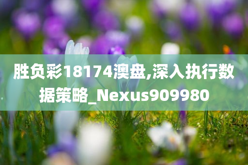 胜负彩18174澳盘,深入执行数据策略_Nexus909980