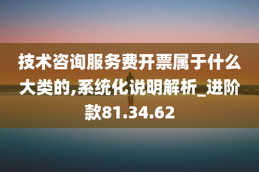 技术咨询服务费开票属于什么大类的,系统化说明解析_进阶款81.34.62