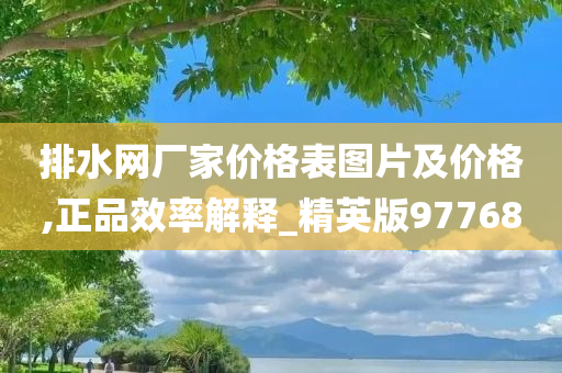 排水网厂家价格表图片及价格,正品效率解释_精英版97768