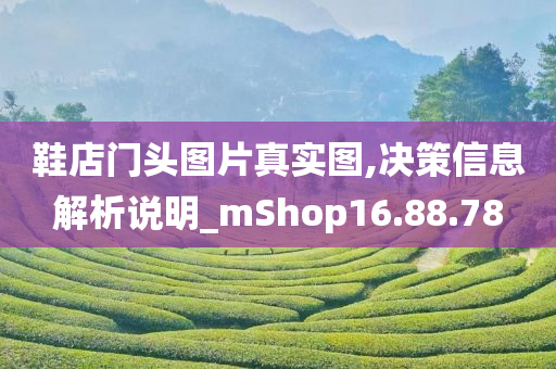 鞋店门头图片真实图,决策信息解析说明_mShop16.88.78