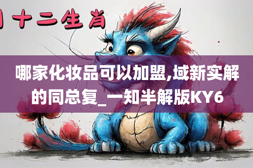 哪家化妆品可以加盟,域新实解的同总复_一知半解版KY6