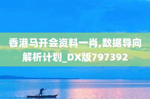 香港马开会资料一肖,数据导向解析计划_DX版797392