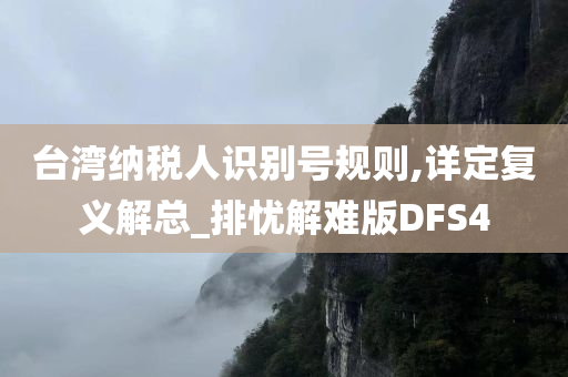 台湾纳税人识别号规则,详定复义解总_排忧解难版DFS4