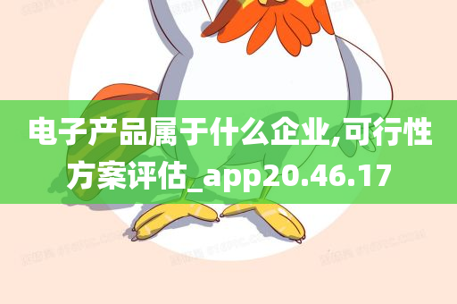 电子产品属于什么企业,可行性方案评估_app20.46.17