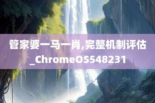 管家婆一马一肖,完整机制评估_ChromeOS548231