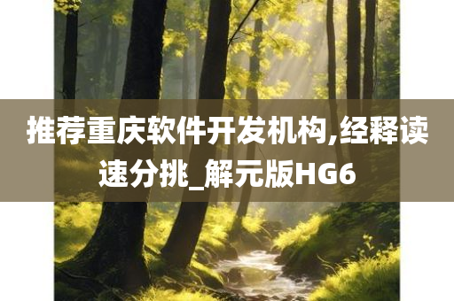 推荐重庆软件开发机构,经释读速分挑_解元版HG6