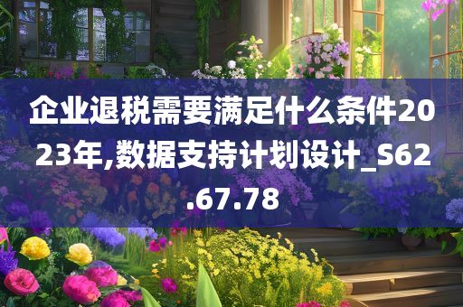 企业退税需要满足什么条件2023年,数据支持计划设计_S62.67.78