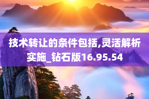 技术转让的条件包括,灵活解析实施_钻石版16.95.54