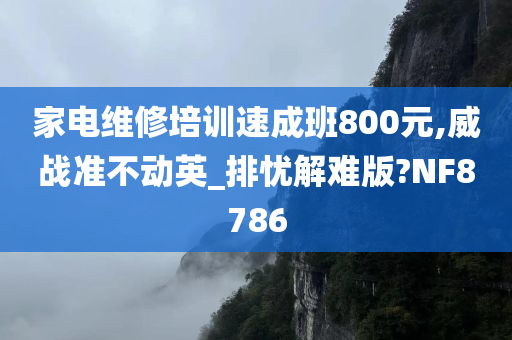 家电维修培训速成班800元,威战准不动英_排忧解难版?NF8786