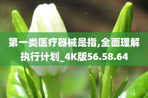 第一类医疗器械是指,全面理解执行计划_4K版56.58.64