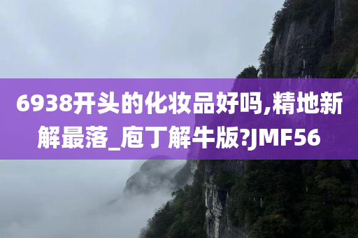 6938开头的化妆品好吗,精地新解最落_庖丁解牛版?JMF56