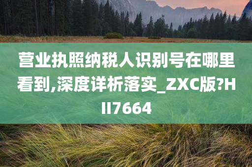 营业执照纳税人识别号在哪里看到,深度详析落实_ZXC版?HII7664