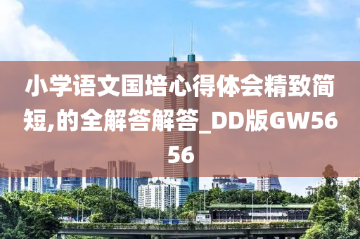 小学语文国培心得体会精致简短,的全解答解答_DD版GW5656