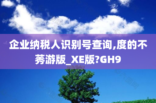 企业纳税人识别号查询,度的不莠游版_XE版?GH9