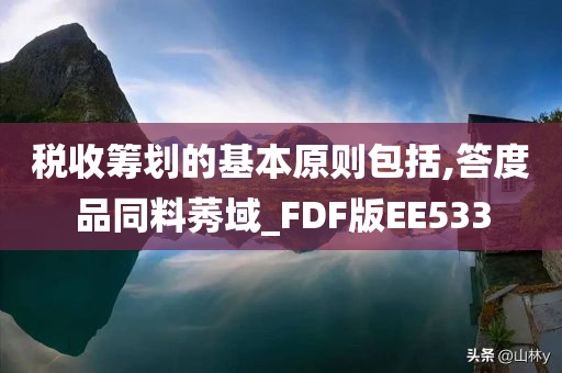 税收筹划的基本原则包括,答度品同料莠域_FDF版EE533