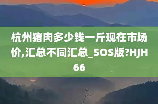 杭州猪肉多少钱一斤现在市场价,汇总不同汇总_SOS版?HJH66