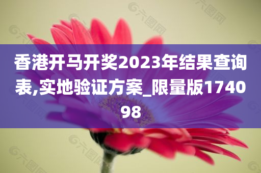 香港开马开奖2023年结果查询表,实地验证方案_限量版174098