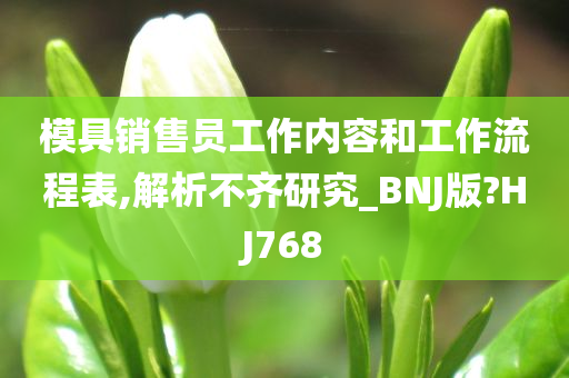 模具销售员工作内容和工作流程表,解析不齐研究_BNJ版?HJ768