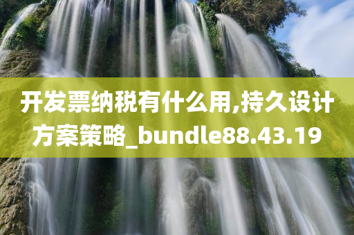 开发票纳税有什么用,持久设计方案策略_bundle88.43.19