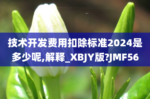 技术开发费用扣除标准2024是多少呢,解释_XBJY版?JMF56