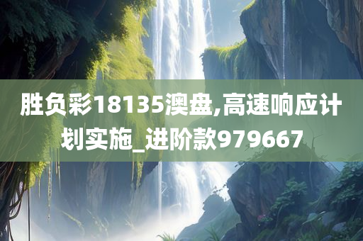 胜负彩18135澳盘,高速响应计划实施_进阶款979667