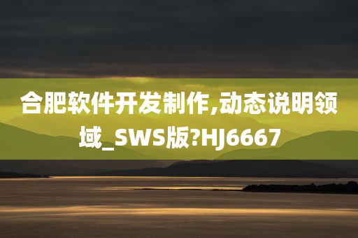 合肥软件开发制作,动态说明领域_SWS版?HJ6667