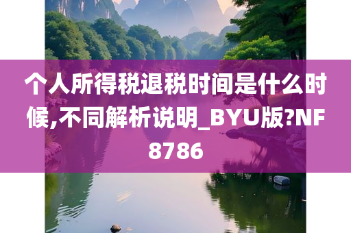 个人所得税退税时间是什么时候,不同解析说明_BYU版?NF8786