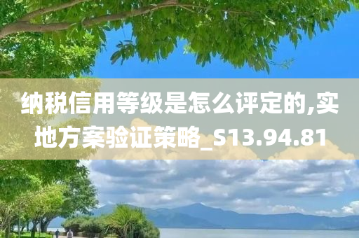 纳税信用等级是怎么评定的,实地方案验证策略_S13.94.81