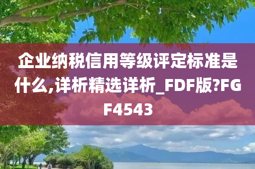 企业纳税信用等级评定标准是什么,详析精选详析_FDF版?FGF4543