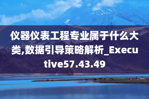 仪器仪表工程专业属于什么大类,数据引导策略解析_Executive57.43.49