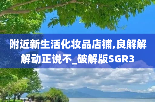 破解版SGR3