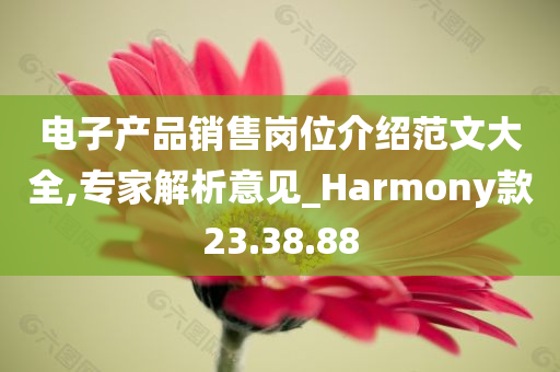 电子产品销售岗位介绍范文大全,专家解析意见_Harmony款23.38.88