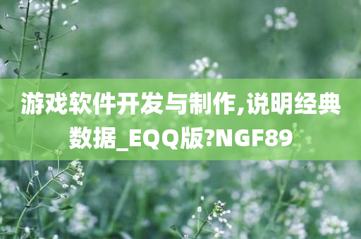 游戏软件开发与制作,说明经典数据_EQQ版?NGF89