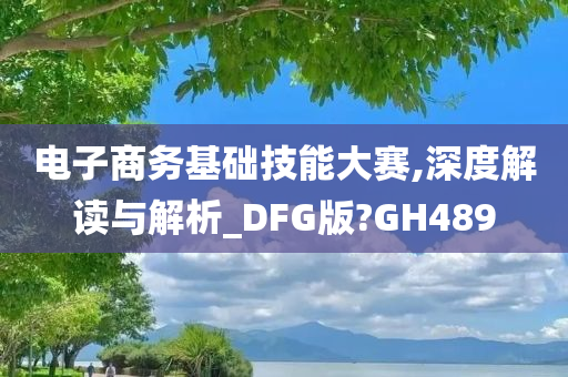 电子商务基础技能大赛,深度解读与解析_DFG版?GH489