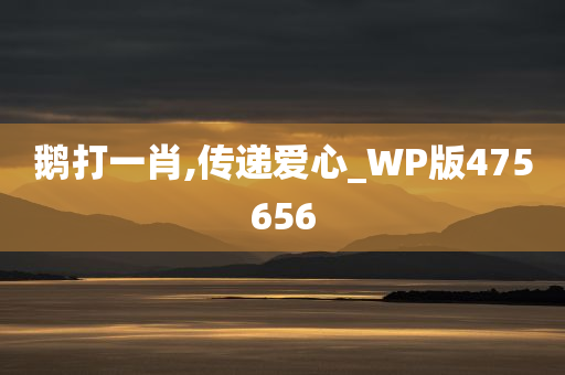 鹅打一肖,传递爱心_WP版475656