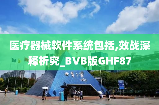 医疗器械软件系统包括,效战深释析究_BVB版GHF87